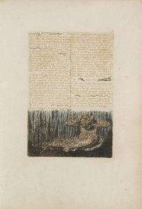 Verzamelen rond de sombere woestijnen..., plaat 6 uit Het Eerste Boek van Urizen, 1794 door William Blake